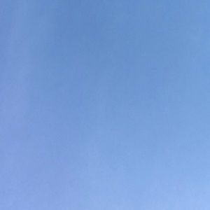 Meet your Posher, Maya